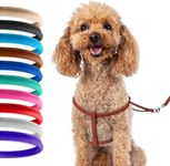 CollarDirect Rolled Leather Dog Harness Small Puppy Step-in Leash Set for Walking Pink Red White Blue Green Black Purple Beige Brown Yellow (Brown, S)