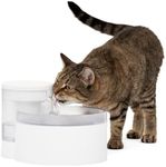 PetSafe Outlast Pumpless Water Fountain, 1.7 L, Small Dog and Cat Water Fountain, Dishwasher Safe, Easy Assembly and Cleaning, 1 Filter Included in the box