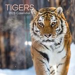 The Gifted Stationary 2025 Square Wall Calendar, Tigers, 16-Month Animals Theme Hanging Calendar with 180 Reminder Stickers, Month Planner for Home, or Creative Spaces, 12x12 In