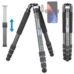 Carbon Fiber Tripod-INNOREL CT85C Super Professional Portable Travel Tripod for DSLR Camera Heavy Duty Compact Stand Support 32mm/1.26in Tube Max load 55lbs/25kg with Short Center Column Only tripod