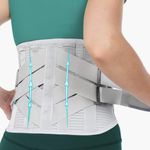 Back Brace for Lower Back Pain Relief Men Women; Breathable Back Support Belt with 4 Ergonomic Stays for Work Heavy Lifting; Plus Size Back Belt for Back Pain, Herniated Disc, Sciatica (PG, L)