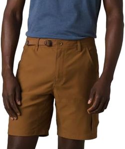 prAna Stretch Zion Shorts II, Sepia, 30W x 12L