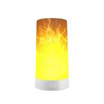 NYRWANA LED Flame Lamp, Night Lamp for Kids, USB Rechargeable, 4 Modes, Flame Candles, Fire Lanterns, Fireplace Light, Remote Control & Timer, Home Party Garden Camping Decoration