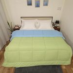 ARLinen Reversible Down Alternative Blanket 400 GSM Comforter-All Season Ultra Soft Duvet Insert 4 Loops-Box Stitched- Machine Washable - Sage and Blue| TC - 400