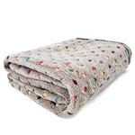 PAWZ Road Pet Dog Blanket Fluffy Fleece Fabric Soft and Cute Warm Dot Print Blanket Washable for Cats and Dogs Beige S:77 * 53cm