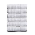 NY Loft 100% Cotton Hand Towel 6 Pa