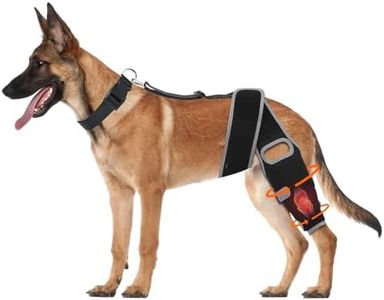 GRLEP Dog 