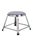 Lifetime Stools Stainless Steel Stool For Sitting,Round Shape - Home,Doctor,Medical Stool/Salon Stool/Warehouse Stool/Garage Stool/Stool For Bathroom/Multipurpose Stool (Pack Of 1,12 Inches),Silver