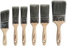 Professional Paint Brush Set 6 Piec