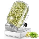 ecooe Sprouting Glass Jar Kit, Bean Broccoli Sprouts Growing Kit, Seed Sprouting Kit with 1 Wide Mouth Mason Jar, 304 Stainless Steel Sprouting Lid, Drain Tray, Adjustable Stand for Alfalfa Peas