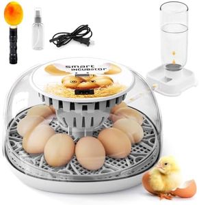 Egg Incubator for Hatching Chicks - Holds 22 Eggs - Automatic Egg Turner with Temperature and Humidity Control - 360 Degree View with Clear Window (Rotundity)