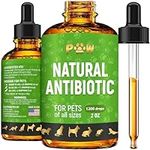 Antibiotics for Cats | Natural Anti