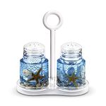 Freelance Eden Acrylic Kitchen & Dining, Salt & Pepper Dispenser Box Holder Keeper Case Dish with Lid