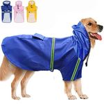 Dog Coat Walkings