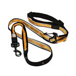 Kurgo Dog Leash For Large Dogs