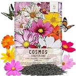 Seed Needs, 3,000+ Crazy Mix Cosmos Seed Mixture for Planting (Cosmos Bipinnatus Butterfly Attracting Cosmos Mixture) 10+ Varieties Open Pollinated - Bulk