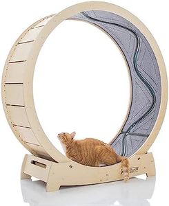 STAR CATWH