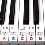 Keyboard or Piano Stickers 61 key s