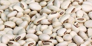 NAVY BEANS- 22lb