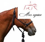 Aces Equine Horse Rope horse Halters Headcollars With Lead 4 Knot Natural Horsemanship Full cob and Pony Black Color