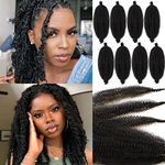 Leeven 16 Inch Pre Separated Springy Twist Hair for Afro Marley Locs 8 Packs Pre-Fluffed Popping Spring Twist Crochet Hair for Distressed Locs Afro Kinky Curly Marley Braiding Hair Extensions /1B#