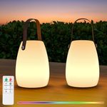 RWWR Pack of 2 Outdoor Table Lamps, Mini Wireless Table Lamp, 8 Colours, LED Battery Table Lamp, Dimmable with Remote Control, IP44 for Camping, Garden, Balcony, Patio (Leather Carrying Handle)