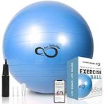 Exercise Ball -Professional Grade Exercise Equipment Anti Burst Tested with Hand Pump- Supports 2200lbs- Includes Workout Guide Access- 55cm/65cm/75cm/85cm Balance Balls (Blue, 65 cm)