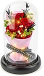 Kylin Glory Forever Flowers Real Eternal Roses Preserved Flowers Gift with LED Mood Lights for Valentine's Day Birthday Anniversary, Elegant Present for Girlfriend Wife Mom Women (Grande Red)