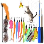 Qoosea Cat Feather Toys, 2PCS Retractable Cat Wand Toy and 13PCS Replacement Teaser with Bell Refills, Interactive Cat Wand for Kitten Cat Having Fun Playing