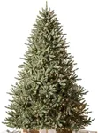 Balsam Hill 9.5ft Pre-Lit Classic B