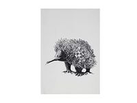 Maxwell & Williams Marini Ferlazzo Tea Towel with Echidna Design, 100% Indian Cotton, White, 50 x 70 cm