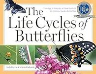 The Life Cycles of Butterflies: Fro