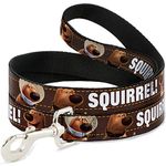 Buckle-Down Pet Leash - Dug 3-Poses/SQUIRREL! Brown/Yellow/White - 6 Feet Long - 1.5" Wide