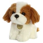 Aurora 11" Shih TZU PUP