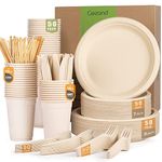 Dinnerware For 100 Guest