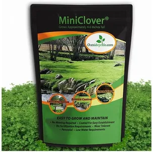 Outsidepride Perennial White MiniClover Seed - 5 lb. Dwarf, Small-Leaved, Drought & Wear-Tolerant Micro Clover Seeds for Lawn, Ideal Low-Maintenance & Easy to Grow Ground Cover Seeds for Home Yard