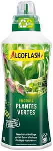 Algoflash 