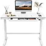 FLEXISPOT Comhar EW8W Electric Standing Desk Home Office Electric Height Adjustable Standing Desk Sit Stand Desk with 120 * 60cm White Wood Top (White Frame+White Wood Top)