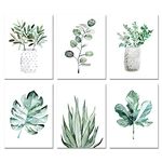 Botanical Prints Wall Art Room Decor for Bedroom Aesthetic, 11x14 Canvas Poster Unframed Set of 6, Plant Prints Leaf Posters Sage Green Decor