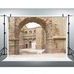 Ancient Jerusalem Buildings Photography Backdrop, 9x6FT, Roman Church Israel Background, Photo Booth Studio Props LYLU666