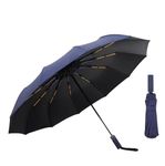 HomeCloud Folding Umbrella featuring 12 Reinforced Ribs, Auto Open/Close Functionality, Waterproof Canopy, Comfortable ABS Handle and Superior Wind-Resistant Double-Bone Fiber Frame (Navy)