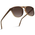 WearMe Pro WMP Eyewear - Large Modern One Bridge Round Sunglasses, Crystal Brown Frame / Gradient Brown Lens, One Size