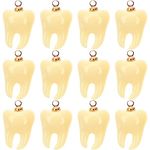 ABOOFAN 12Pcs Tooth Shape Pendant Cute Tooth Charms Funny Dangle Charms Statement Jewelry Making Findings for Keychain Earring Necklace Bracelet Making, Resin, No Gemstone