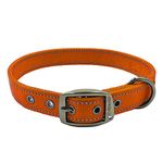 Max and Neo MAX Reflective Metal Buckle Dog Collar - We Donate a Collar to a Dog Rescue for Every Collar Sold (Large, Orange)