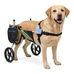 Medium and Large Dog Wheelchair, Adjustable Wheelchair, Dog Mobility Aid Cart with Wheels, Rear Limb of Pet Rehabilitation (M)