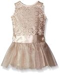 Biscotti Baby-Girls Luminous Lace Dress with Tulle Skirt, Gold, 24 Months