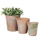 Home Deco London Aged Round Terracotta Plant Pots Set of rustic planters suitable for outdoors ideal for herbs