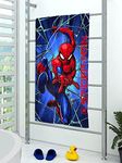 Marvel Towel Sets