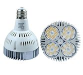 Best to Buy® 35watt 40watt Swimming Pool LED Light Bulb 6000k Daylight White E26 Screw Base 500w Traditional Bulb Replacement (40)