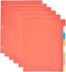 Amazon Basics 3-Ring Binder Plastic